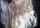 No Styling Done - Picture Taken 26 - 04 - 2017