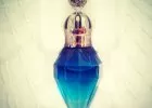 The Bottle