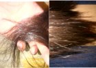 My tips, Before and After