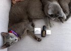 Kiehl&#039;s #ChangeYourSkin.jpg
