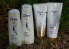 dove2 (1).jpg