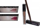 Smashbox Lip Looks !