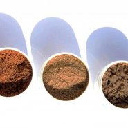 Olgani salts