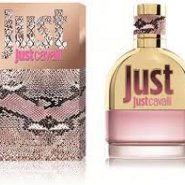 Just Cavalli.jpg