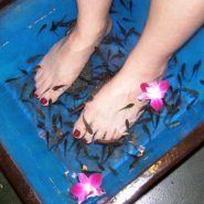 Dr Fish Spa Treatment