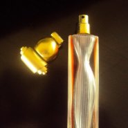 Givenchy Organza