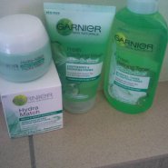 Garnier Skin Naturals Fresh Refining Toner - Shine Be Gone!