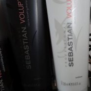 Sebastian Professional Volupt Range