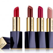 Estèe Lauder Pure Colour Envy Long Lasting Lipstick