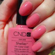 CND shellac
