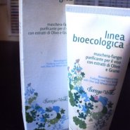 Linea Bioecologica Purifying Mud Face Mask