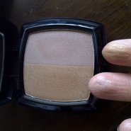 Passion duo powder blusher in mystery bronze