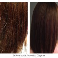 Olaplex Hair Treatment