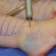 Screen Shot 2016-09-22 at 11.48.48 AM.png