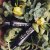 Organics Shampoo &amp; Conditioner for Dry and Damaged hair with Organics Shea Butter