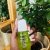 Justine Tissue Oil Repair