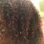 Hair with Conditioner