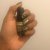 L.A Colors Color Craze Nail Polish