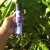 Boity by Impulse Rebel Queen &amp; Shimmer Rays