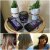 Gliss Intense Therapy with Omegaplex ® Shampoo