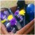 Gliss Intense Therapy with Omegaplex Range