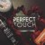 Perfect Touch Volume and Lift Mousse