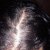 Plantur 39 Colour Brown Shampoo &amp; Conditioner
