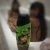Organics Hair Kids Shampoo Coconutty 2-in-1