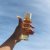 Bio-Oil Skincare Oil (Natural)