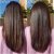 Schwarzkopf Palette Deluxe Chocolate Brown 3-65
