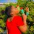 ilovepronto_