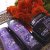 Gliss Intense Therapy with Omegaplex ®  Conditioner