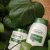 Ingram&#039;s Hemp Range