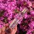 Yardley Conquest Lady Luxury Eau De Parfum