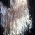 No Styling Done - Picture Taken 26 - 04 - 2017