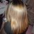 Dove Advanced Hair Series Pure Care Dry Oil Range