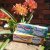 Aquafresh Senses Revitalising