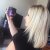 Gliss Intense Therapy with Omegaplex ® Shampoo