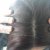 Plantur 39 Colour Brown Shampoo &amp; Conditioner