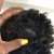 Organics Hair Kids Shampoo Coconutty 2-in-1