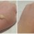 Bourjois 123 Perfect Foundation
