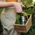 Nature Box Avocado Range