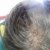 Plantur 39 Colour Brown Shampoo &amp; Conditioner