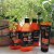 Nature Box Apricot Range