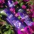 Gliss Intense Therapy with Omegaplex ® Structure Repair Treatment