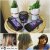 Gliss Intense Therapy with Omegaplex ® Shampoo