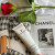 ELIZABETH ARDEN EIGHT HOUR CREAM SKIN PROTECTANT