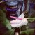 Gliss Intense Therapy with Omegaplex ® Structure Repair Treatment
