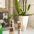Avon Anew Renewal Power Duo