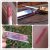 EA Lipgloss